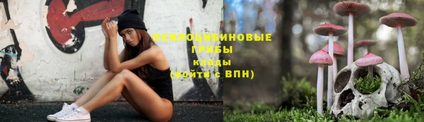 дмт Алексин