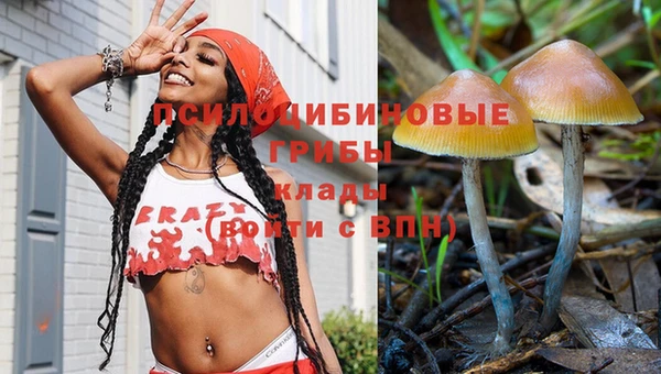 дмт Алексин