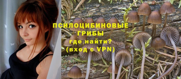 дмт Алексин
