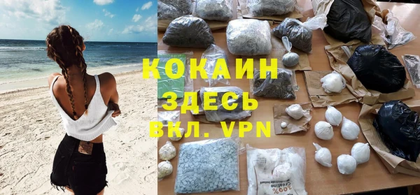 дмт Алексин