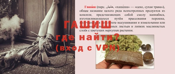 прущие грибы Надым