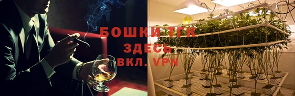 дмт Алексин