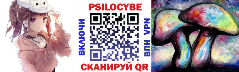 Галлюциногенные грибы MAGIC MUSHROOMS  купить наркотики цена  Палласовка 